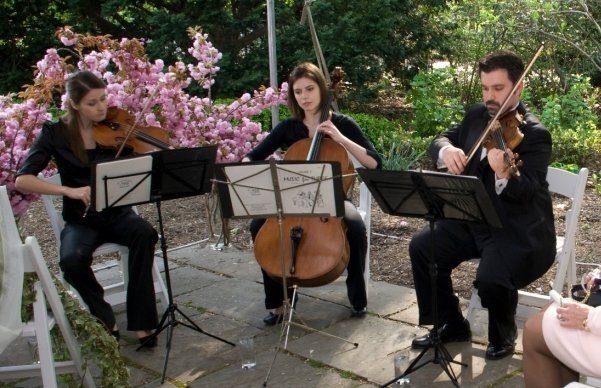 Photo credit: Ideal Ensembles Photo credit: Ideal Ensembles