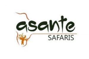 Asante Safaris Asante Safaris asante 300x200 Asante Safaris Asante Safaris