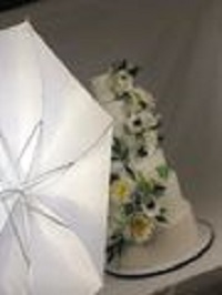 Cake Art