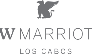 JW Marriott Los Cabos Beach Resort and Spa JW Marriott Los Cabos Beach Resort and Spa SJDJW 4C 300x177 JW Marriott Los Cabos Beach Resort and Spa JW Marriott Los Cabos Beach Resort and Spa