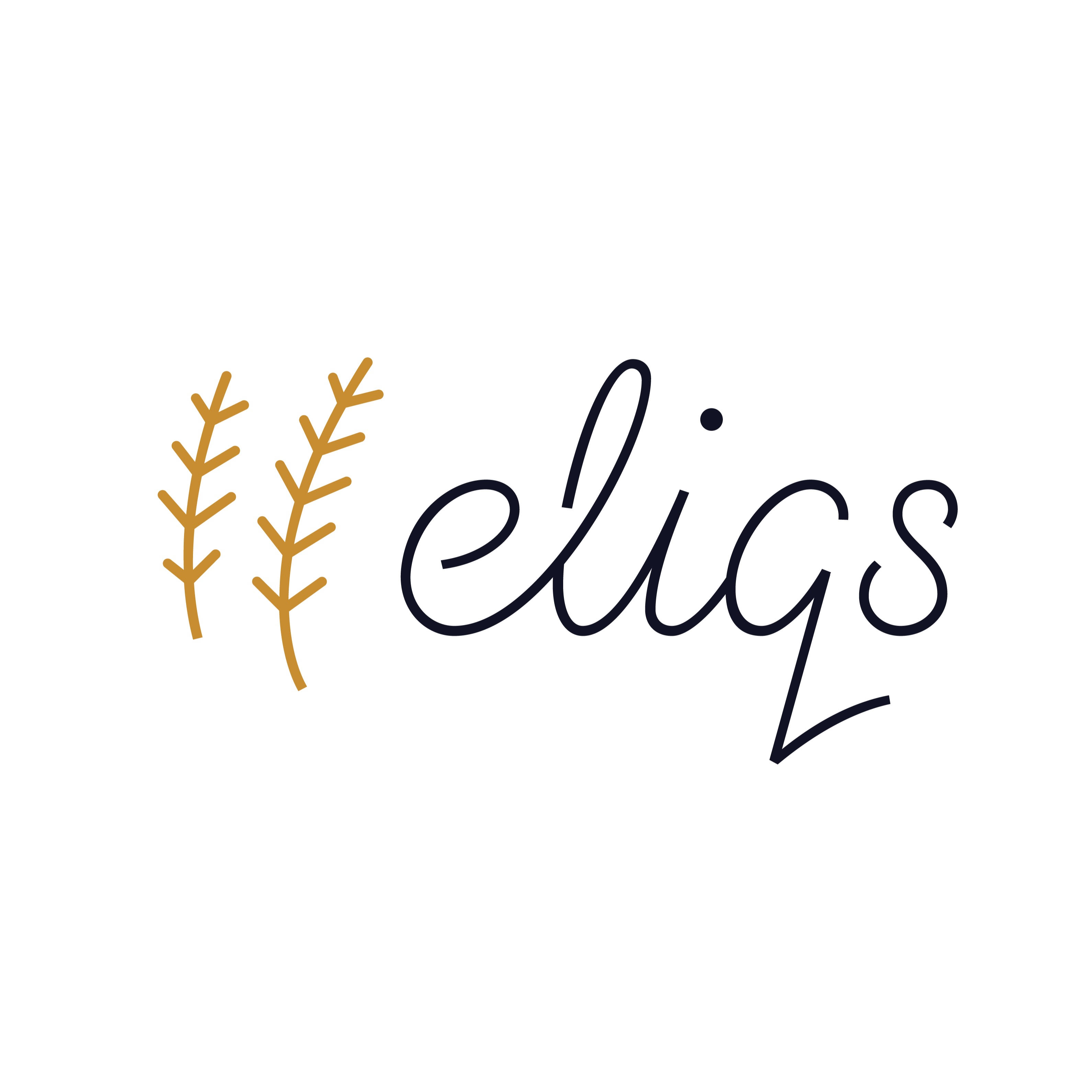 Eliqs