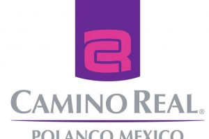 Hotel Camino Real Hotel Camino Real camino real polanco logo 300x200 Hotel Camino Real Hotel Camino Real