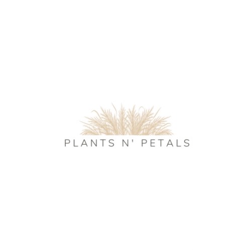Plants N’ Petals